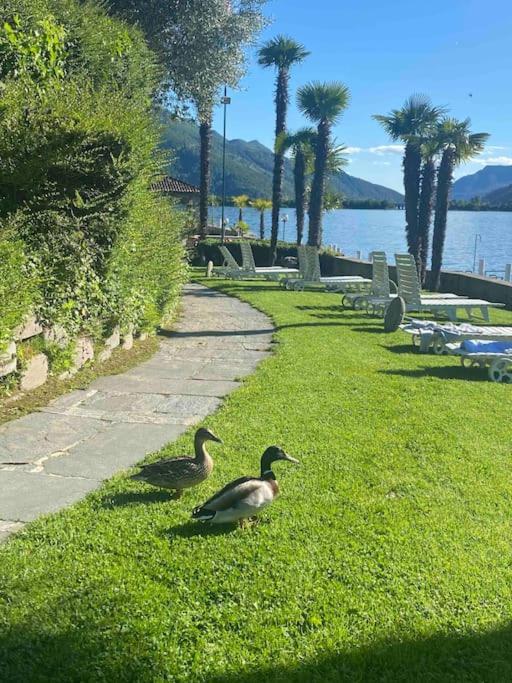Holiday On The Lake Lugano 2-16 Бисон Екстериор снимка